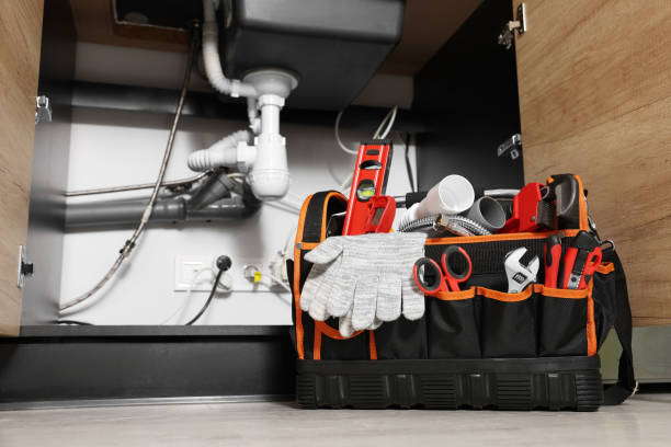 Best Plumbing Services Near Me  in Birngham, MI