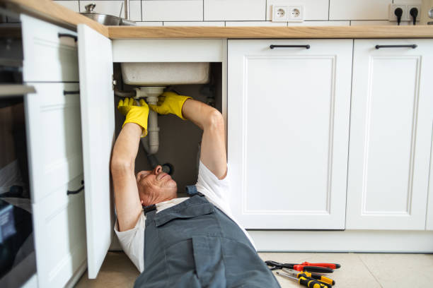 Best Commercial Plumbing Services  in Birngham, MI
